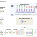 Overview of the paper